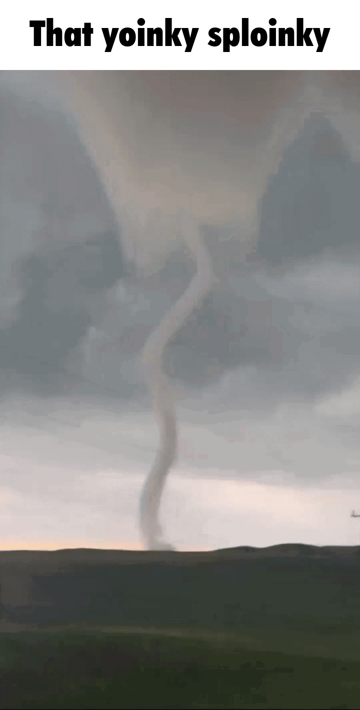 Lizard pressing random buttons